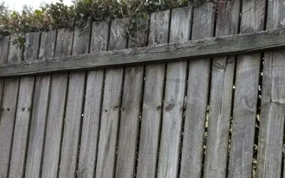 Signs Your Fence Needs Replacing
