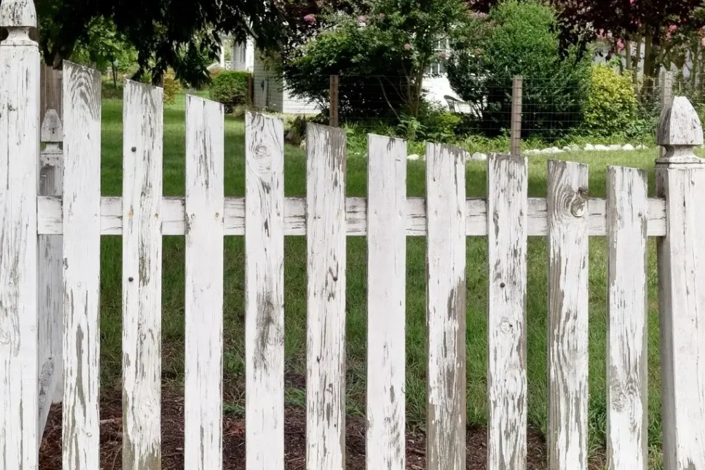 weathered timber fence